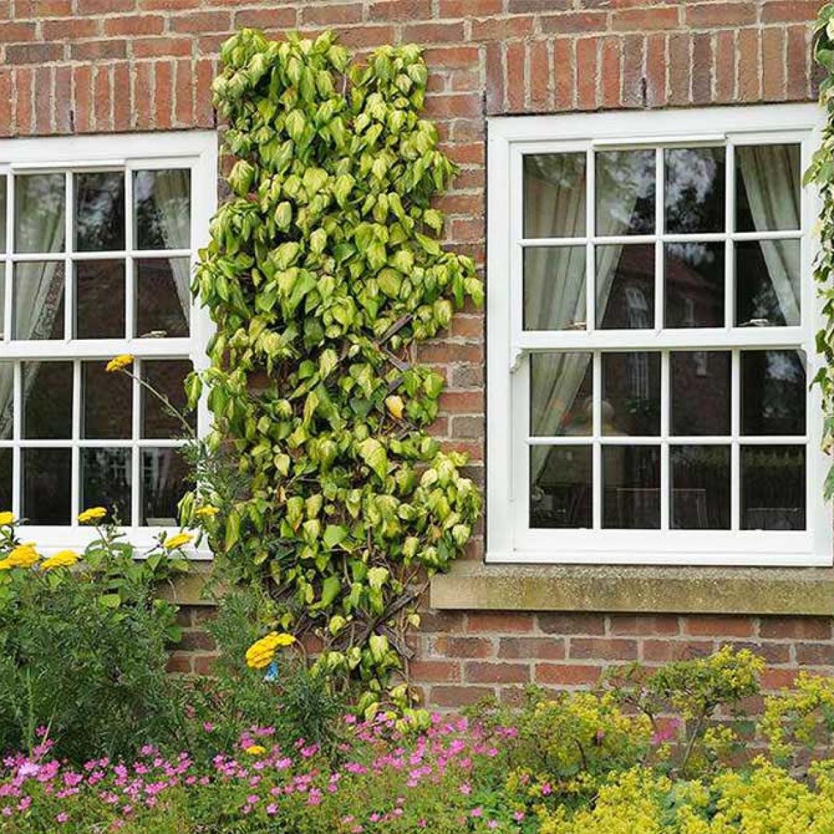 What are the Benefits of Sliding Sash Windows | Alaskan Windows